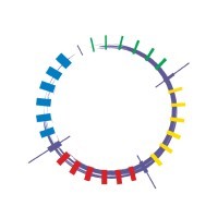 The Kaleidoscope Group, LLC Logo